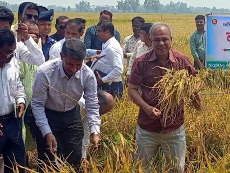 দেশে ১০০ মিনি হিমাগার তৈরি হবে: কৃষি উপদেষ্টা